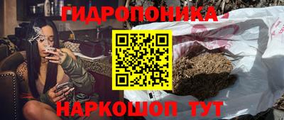 спиды Бийск