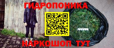 спиды Бийск