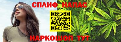 спиды Бийск