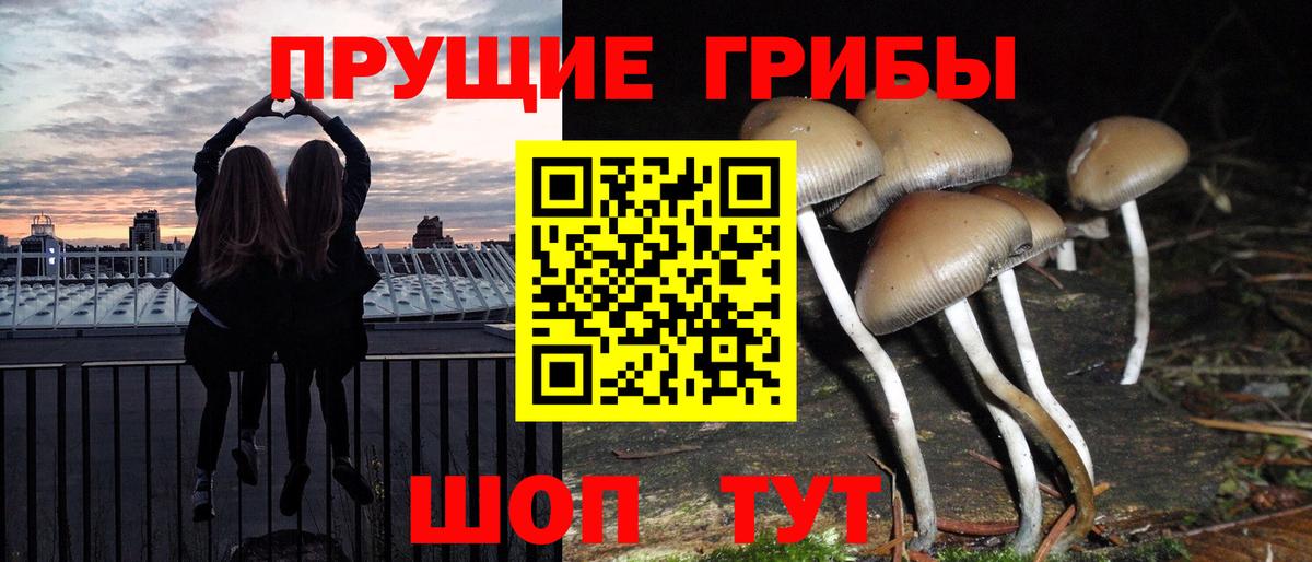 Галлюциногенные грибы прущие грибы  Галлюциногенные грибы мухоморы  наркотики  Заводоуковск  Вход с VPN 