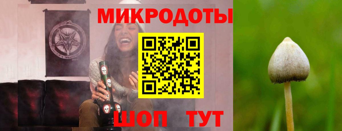Псилоцибиновые грибы прущие грибы Заводоуковск